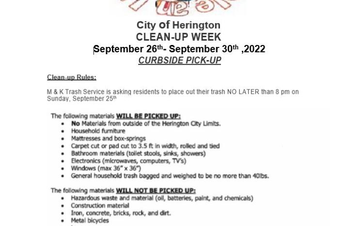 Flyer for clean up